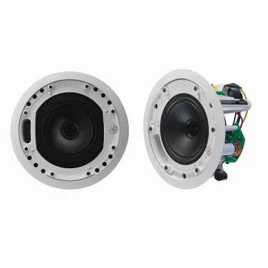 Встраиваемая трансформаторная акустика TANNOY CMS 503DC PI